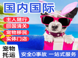 文山砚山航空运输国际宠物托运 【国